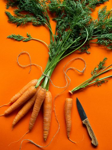 verduras que puede comer tu mascota zanahoraria