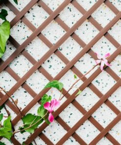 celosia-extensible-pvc-6