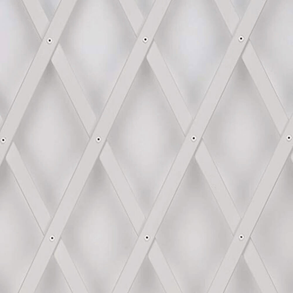 celosia-extensible-pvc-7 celosia-extensible-pvc-7