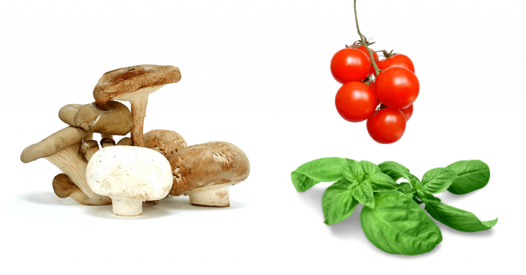 plantas-setas-albahaca-tomates-cultivos-huerto-plantas