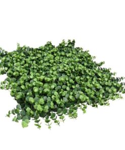 decoracion-jardin-vertical-irolia-faura-hogar