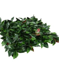 decoracion-jardin-vertical-liptus-faura-hogar