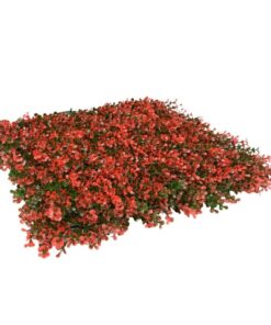 decoracion-jardin-vertical-natus-faura-hogar-ejemplo