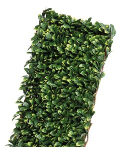 CELOSIA-MIMBRE HOJAS DE LAUREL