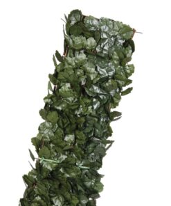 celosia-mimbre-hojas-sauce-4