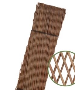 celosia-mimbre-portada-1-faura