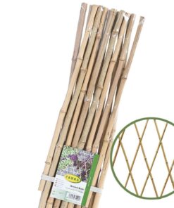 celosia-bambu-web-faura