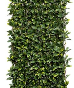 celosia-mimbre-hojas-sauce-principal