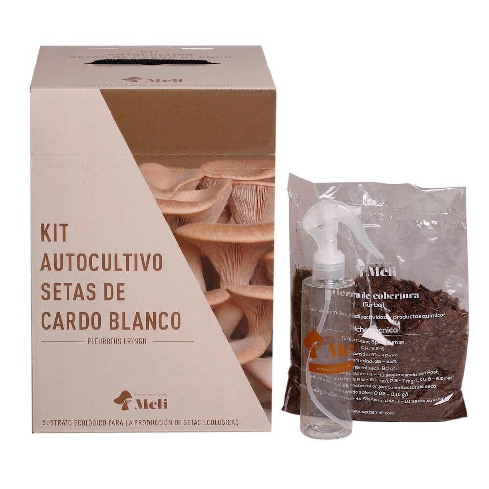 kit-autocultivo-setas-de-cardo-blanco-pleurotus-eryngii-gardeneas-4 kit-autocultivo-setas-de-cardo-blanco-pleurotus-eryngii-gardeneas-4