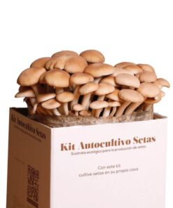 kit-autocultivo-setas-de-chopo-gardeneas-2