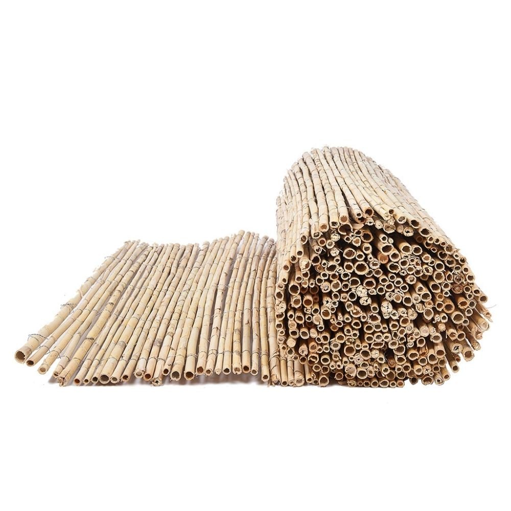 canizo-nacional-entero-ocultacion-jardineria-decoracion