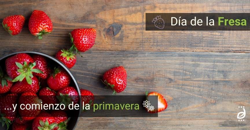 dia-de-la-fresa