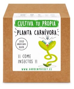 kit-semillero-planta-carnivora