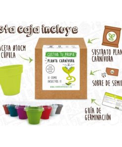 kit-semillero-planta-carnivora