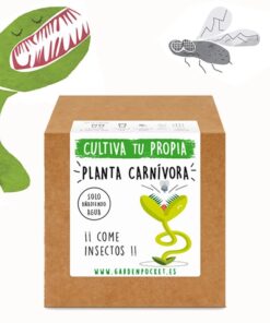 kit-semillero-planta-carnivora