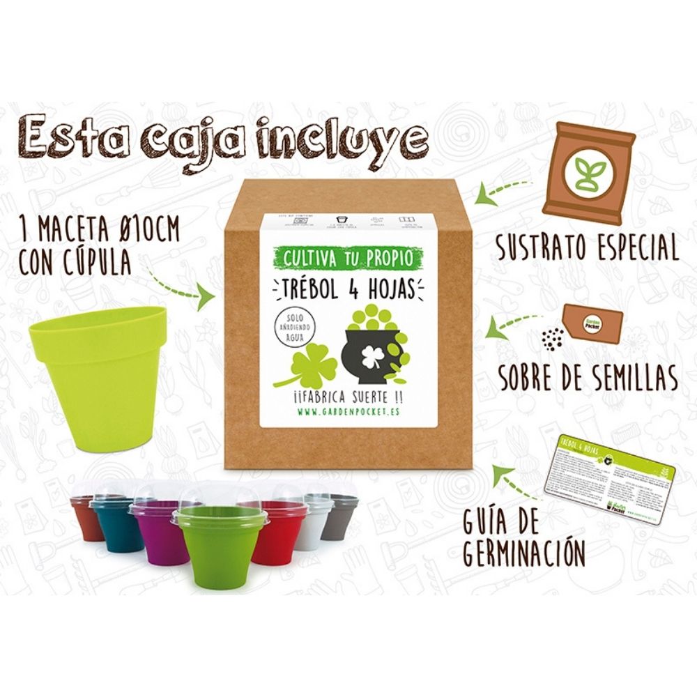kit-semillero-brotes-pocket-trebol-4-hojas-2