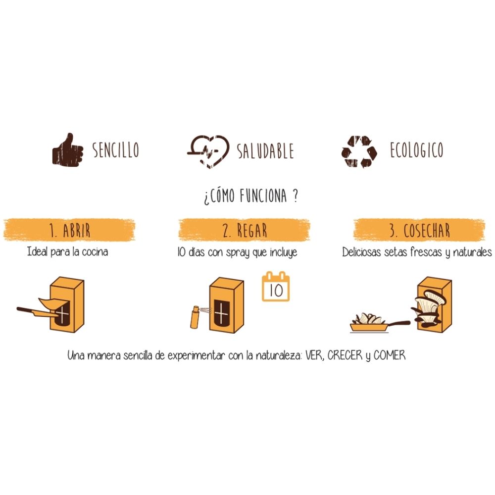 kit-setas-pocket-gourmet-3