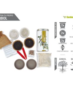 kit-semillas-arbol-bonsai-acer-palmatum-kit-Garden-Pocket-1