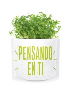 PENSANDO-EN-TI-Postales-Verdes-Garden-Pocket-germinados-semillas-ecologicas-rucula-3