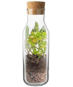 kit-terrario-vertical-Garden-Pocket