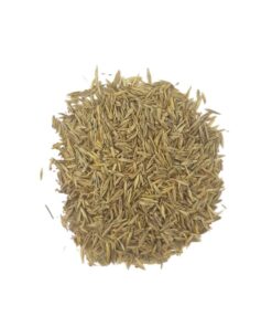 DAL-esport-esport-03