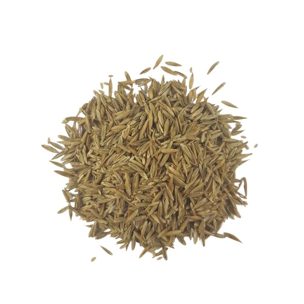 Semillas-Fort-para-césped-03 Semillas-Fort-para-césped-03