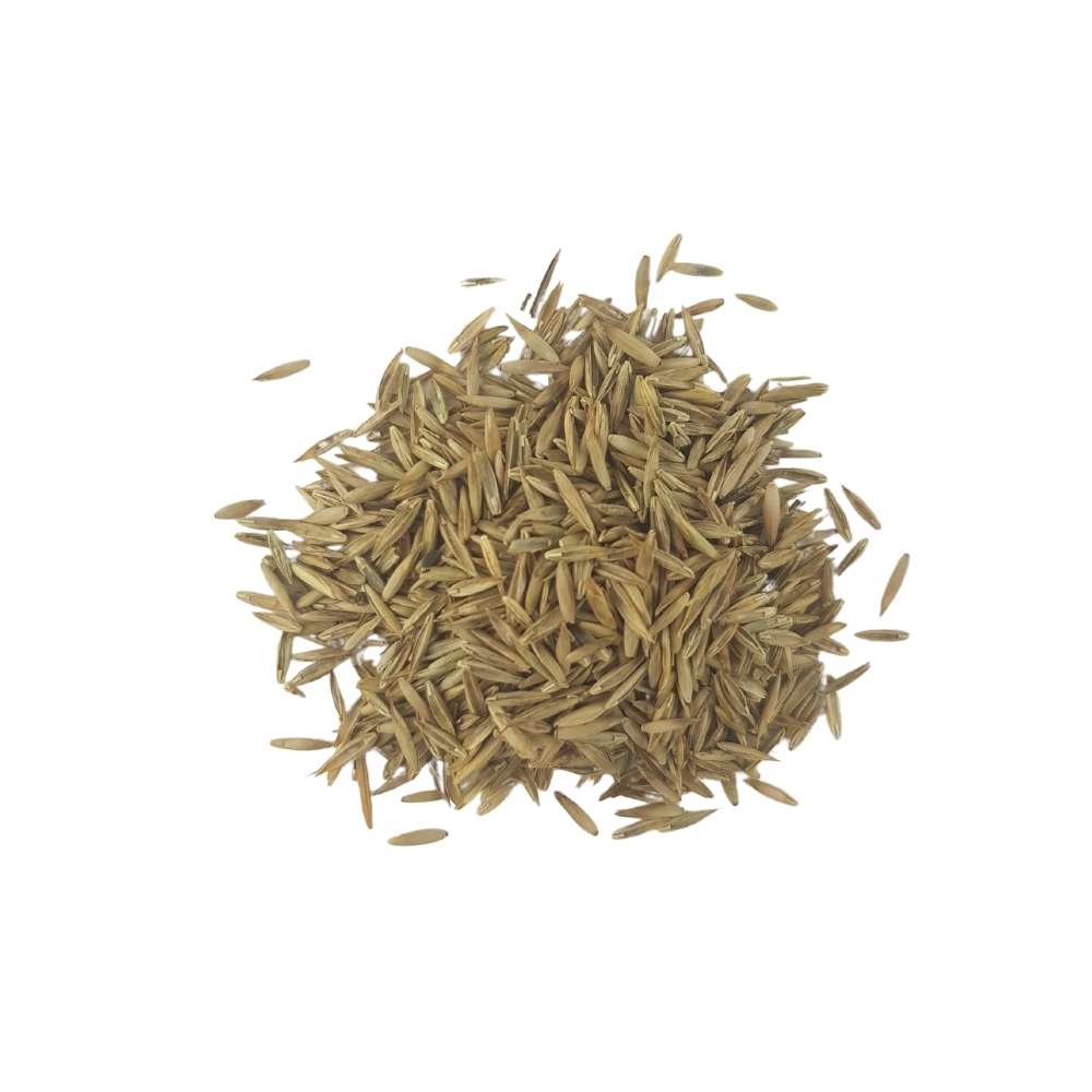 Semilla-sol-grama-fina Semilla-sol-grama-fina