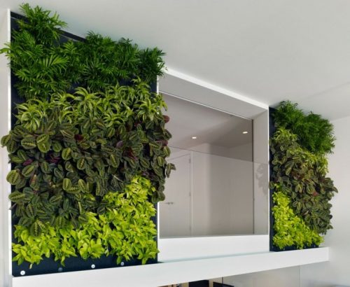 como-instalar-un-jardin-vertical-02