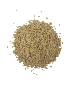 semillas-de-césped-común-02