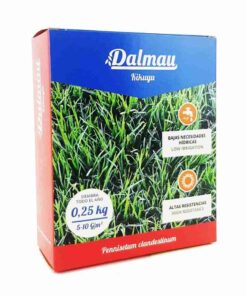 semillas-de-whittet-kikuyu-01