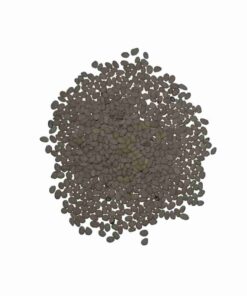 semillas-de-whittet-kikuyu-03