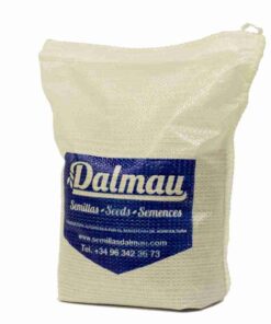 semillas-de-whittet-kikuyu-04