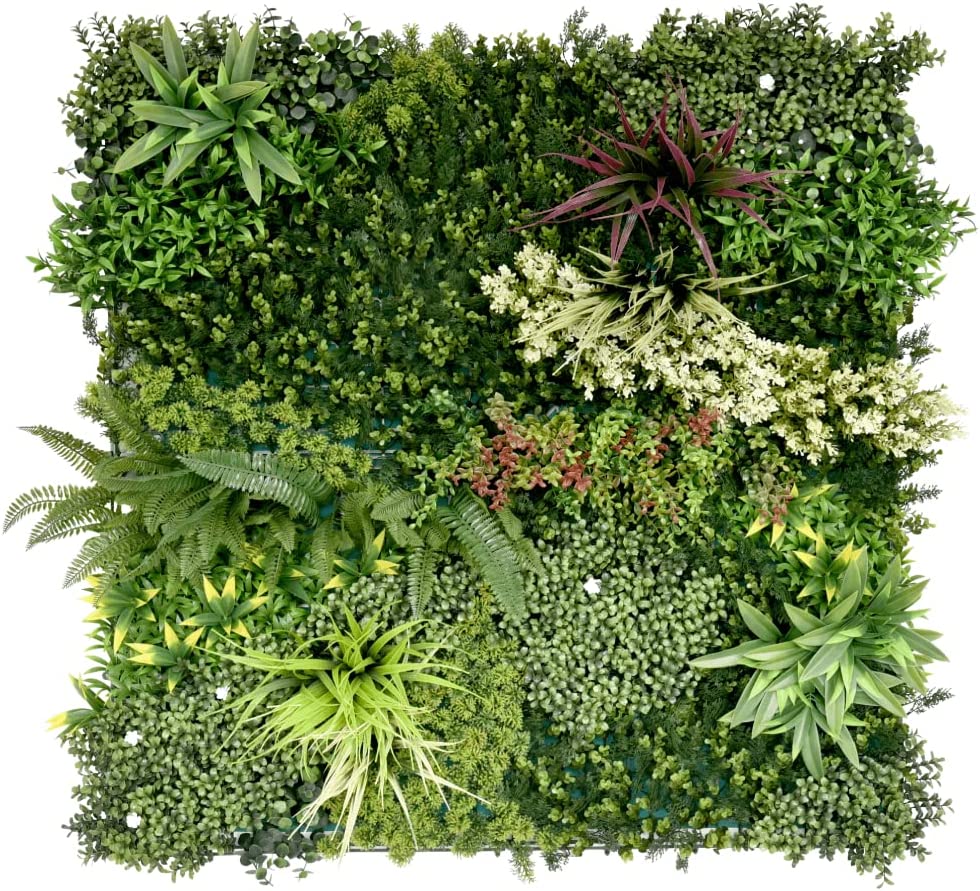 71Otr7GxXtL._AC_SL1000_