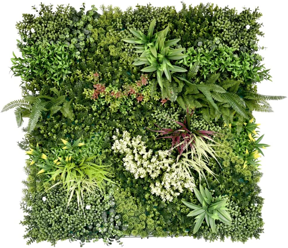 71cGCxykpL._AC_SL1000_