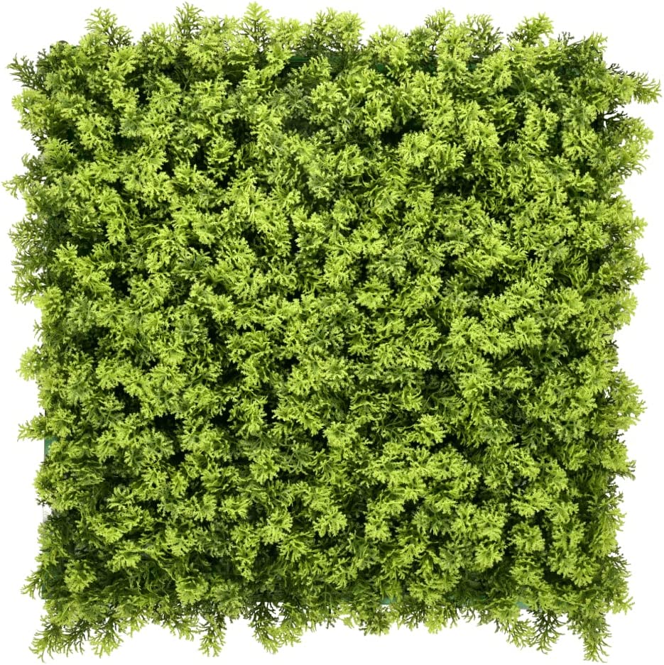 jardin-vertical-musgo
