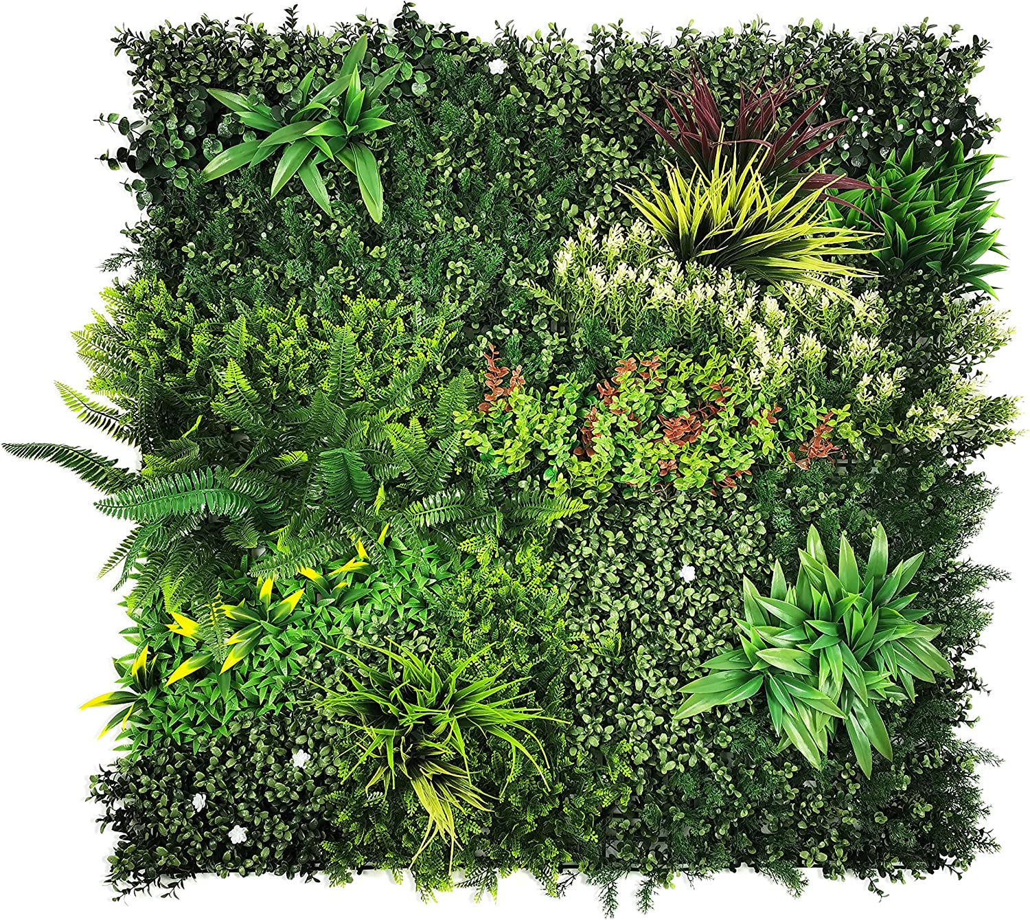 A1YTkVLzMkL._AC_SL1500_