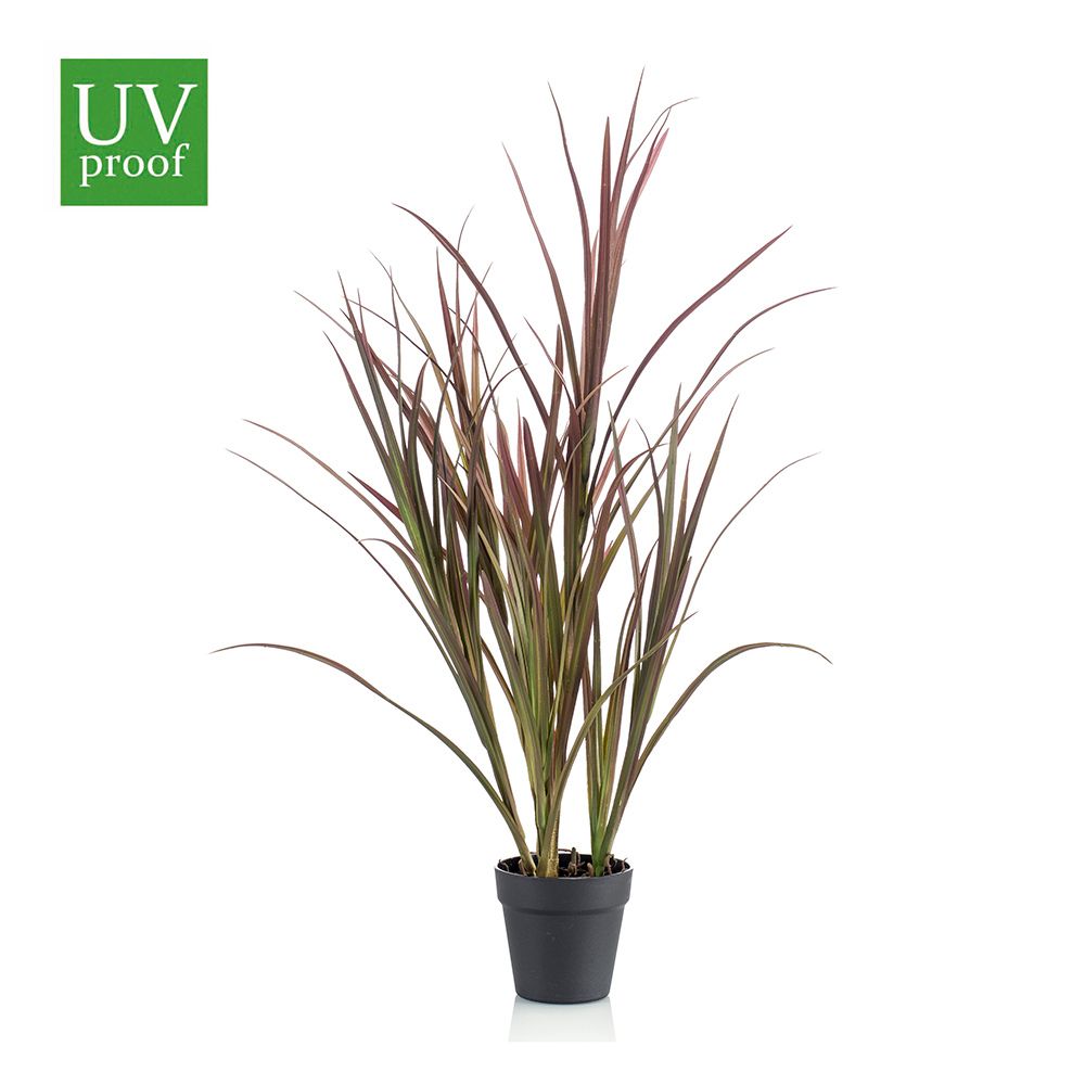 Arbusto-tipo-junco-de-90-cm