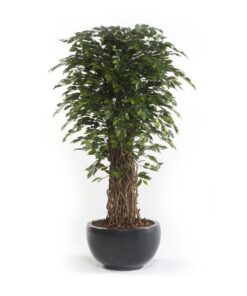 arbol-ficus-deluxe-180cm