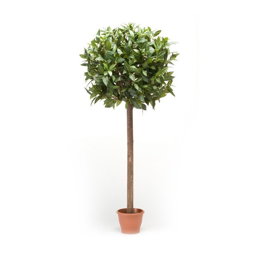 árbol-laurel-esfera-de-95-cm