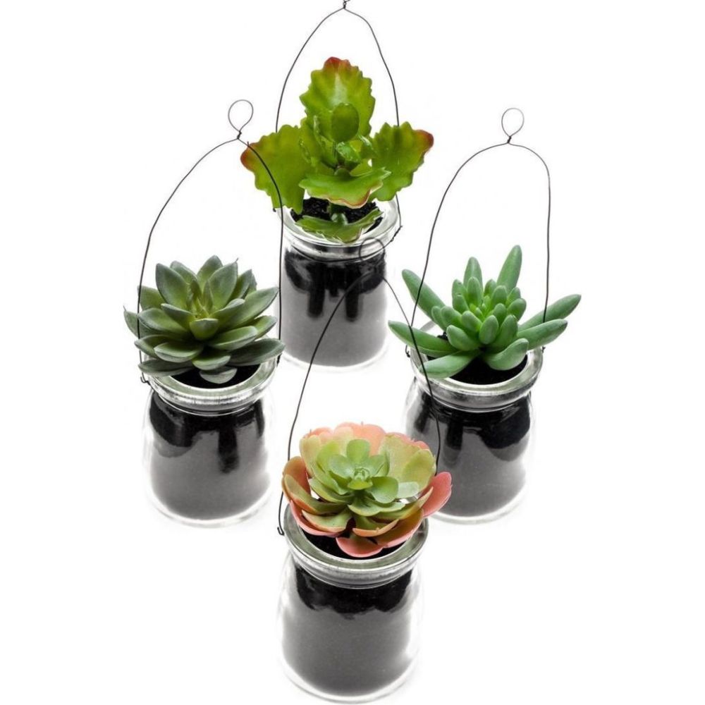 conjunto-con-4-plantas-decorativas-suculent-en-maceta-de-cristal-de-11-cm-cada-una