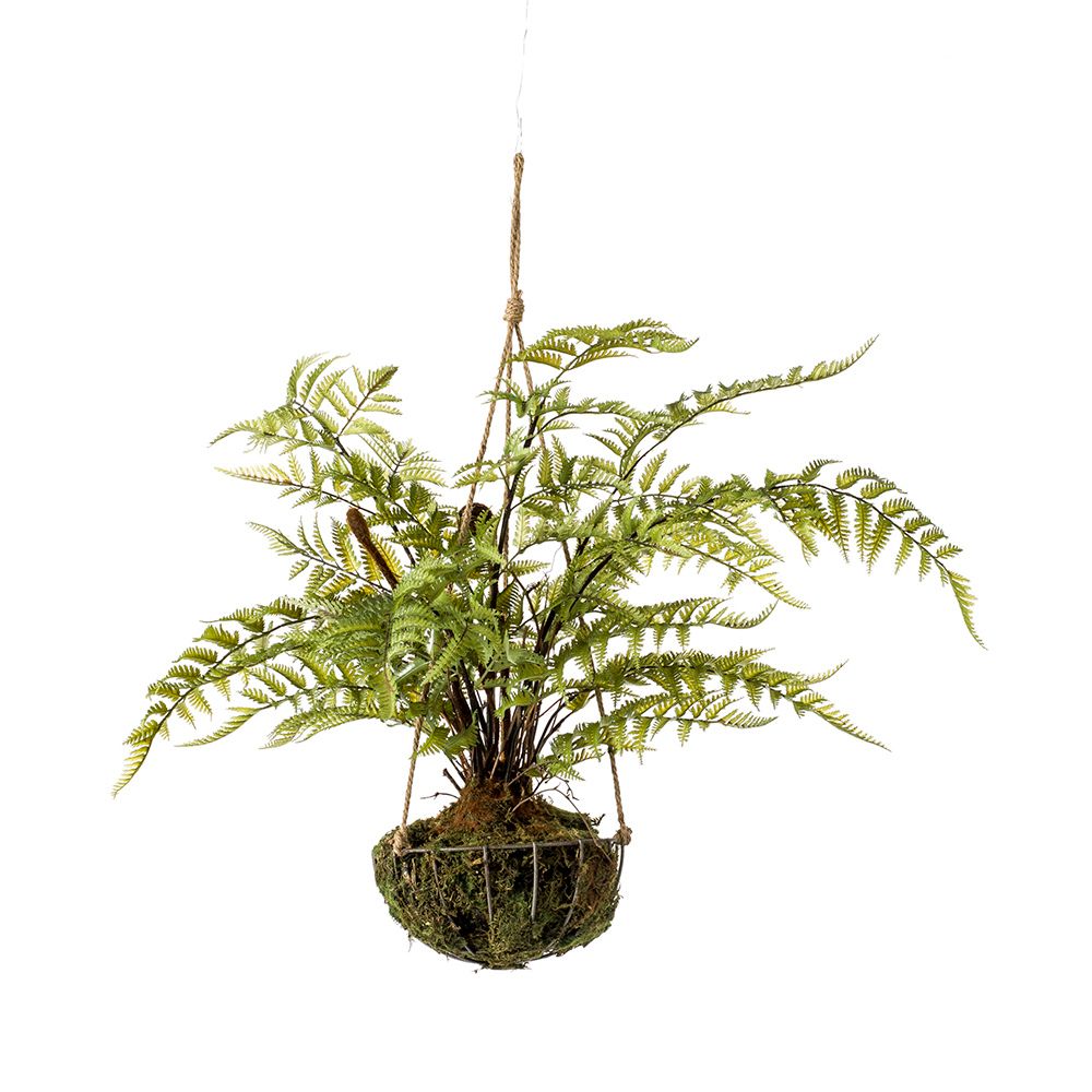 kokedama-helecho-colgante-con-cesta-metálica