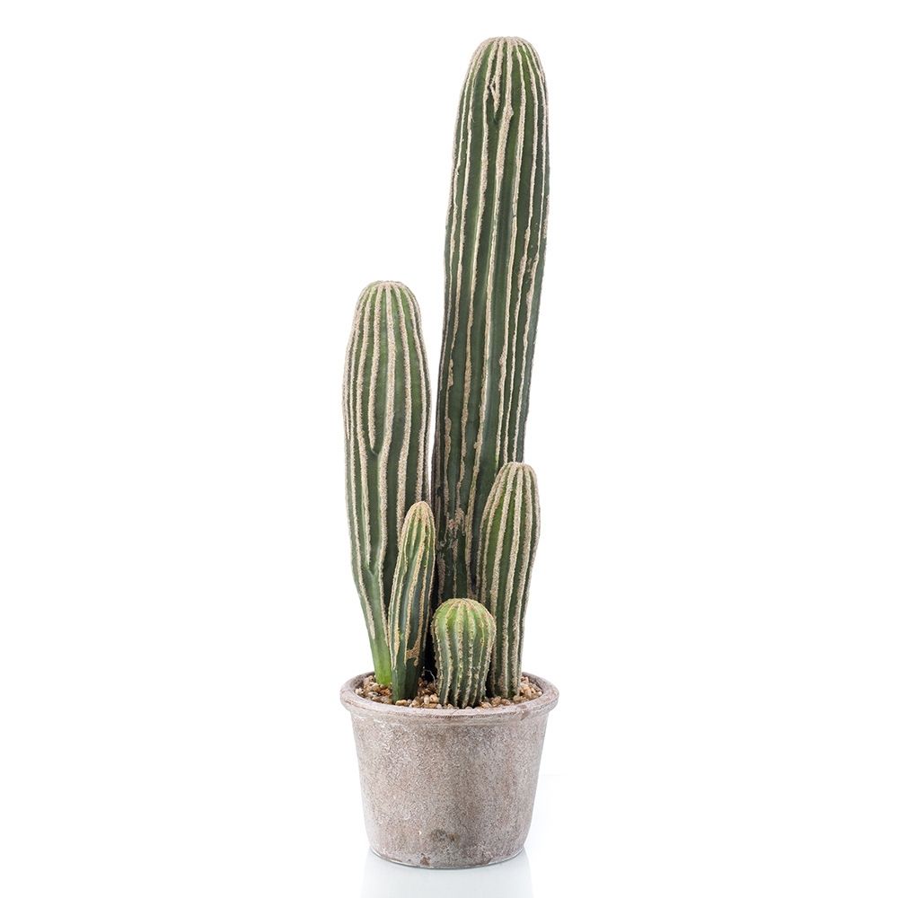 maceta-cactus-san-pedro-37-cm