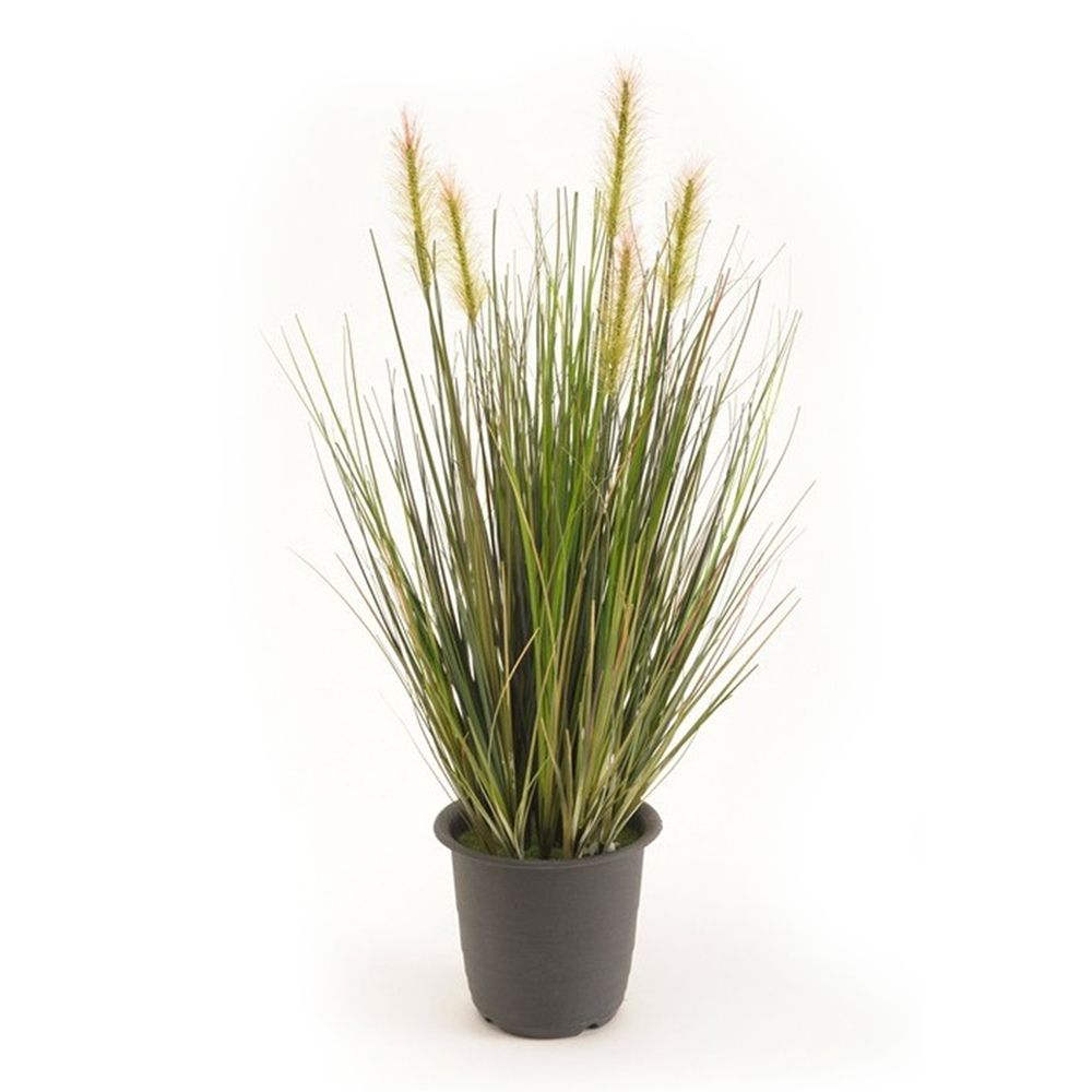 planta-de-hierba-verde planta-hierba-verde-45cm