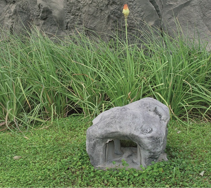 1-Jardin-dichondra (1)