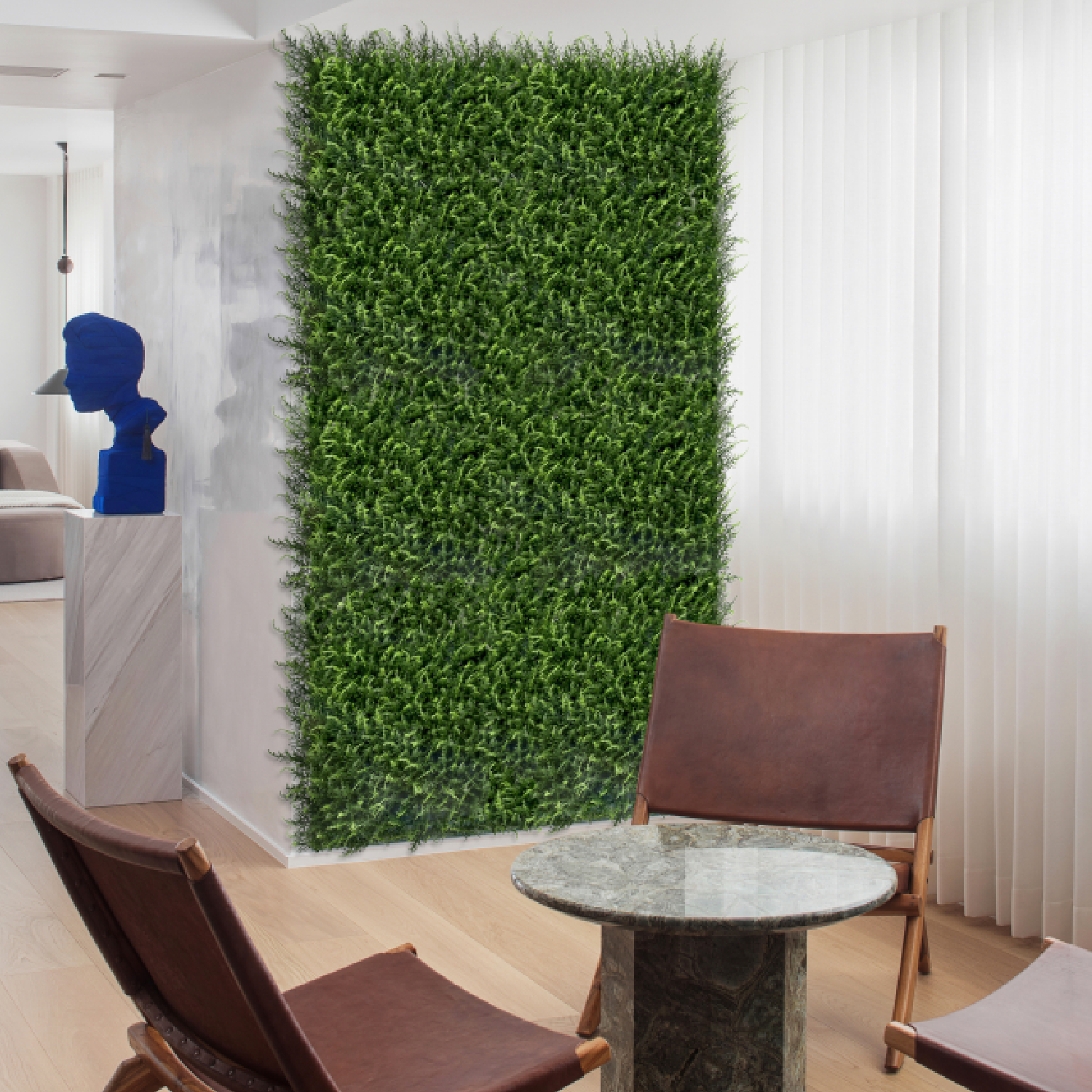 halepensis_4