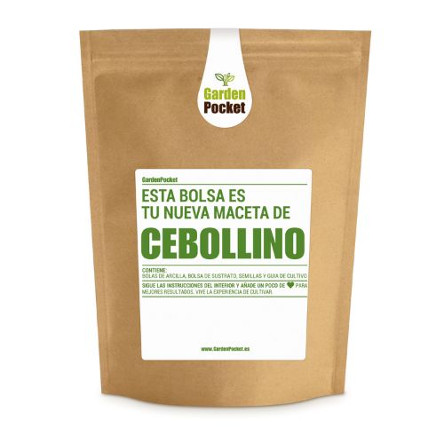 Cebollino