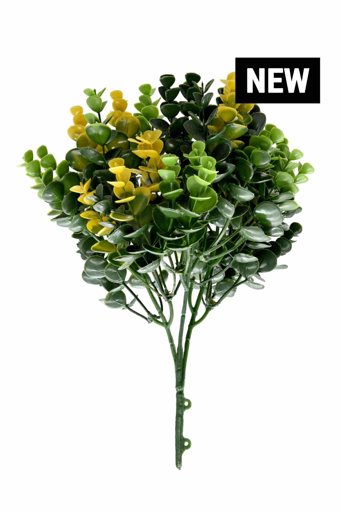 TASMANIA_NEW-scaled-1