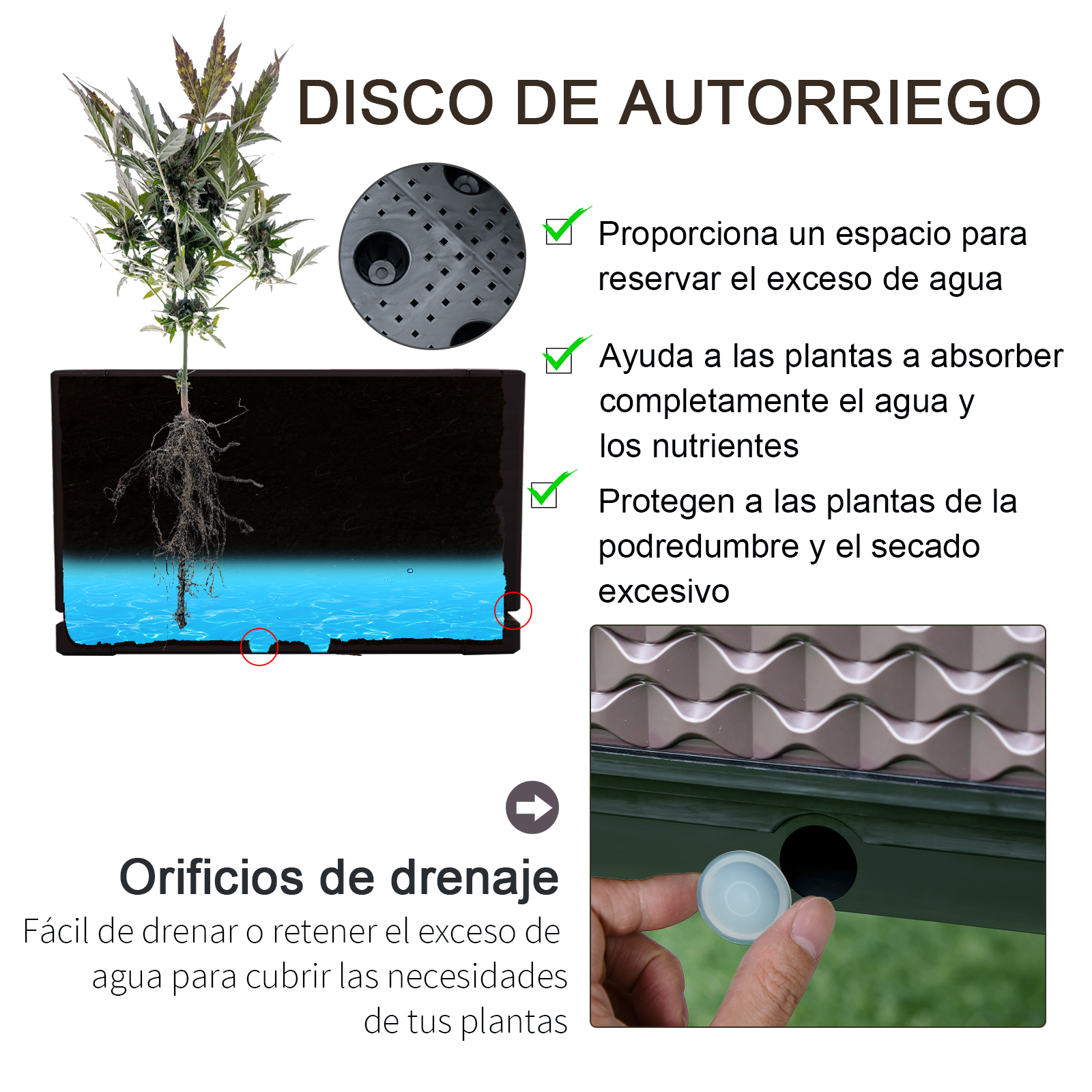 cauS9F6WS3HDXDCj9pEcKgaosomLkt5sm1mgPul501QsoyP7VYxRgra44MJLBitqwGXoqY