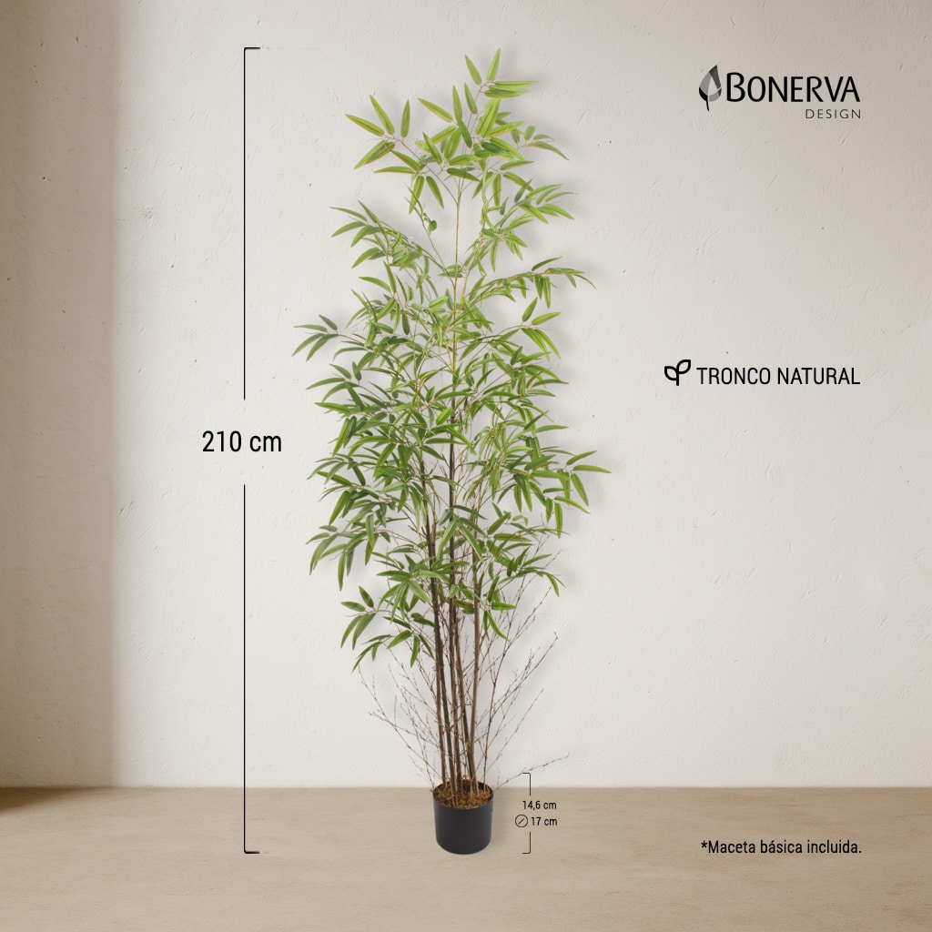 P_MEDIDAS_BAMBU_NATURE_210