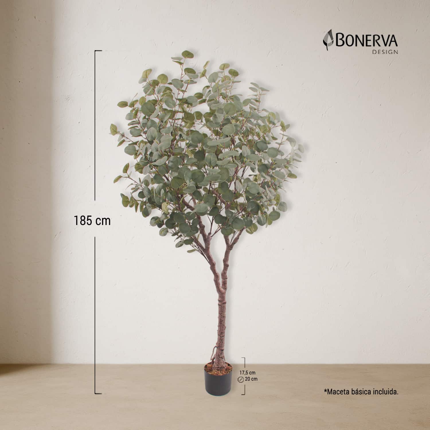 P_MEDIDAS_EUCALIPTO_DECO_185